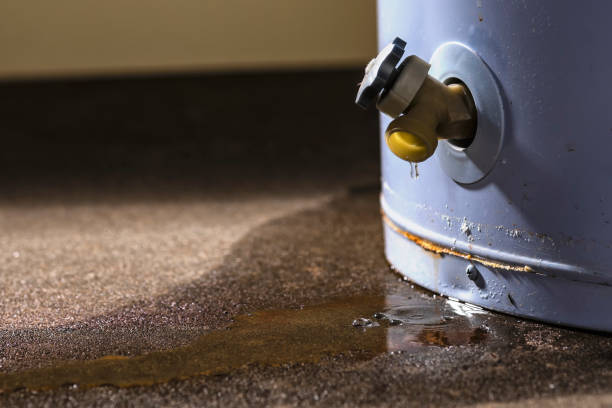 Best Carpet water damage restoration  in Garden Grove, CA