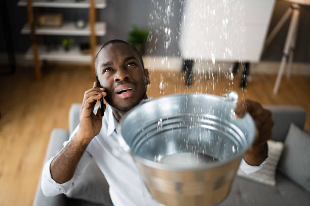 Best Flood damage cleanup  in Garden Grove, CA