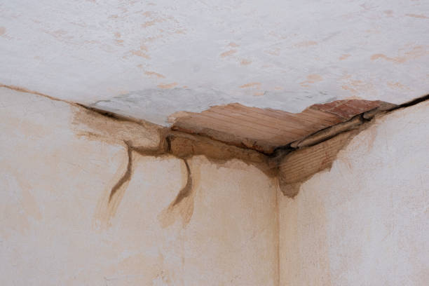 Best Basement water damage restoration  in Garden Grove, CA