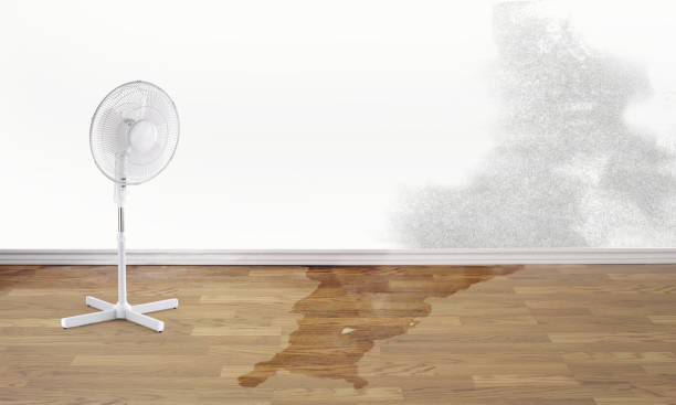 Best Fire Damage Restoration  in Garden Grove, CA