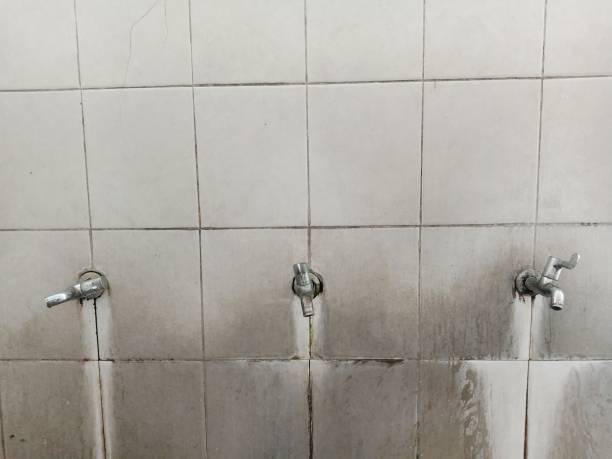 Best 24-hour water damage restoration  in Garden Grove, CA
