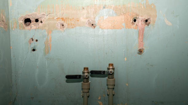 Best Basement water damage restoration  in Garden Grove, CA